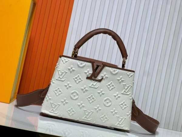 Louis Vuitton women’s bag