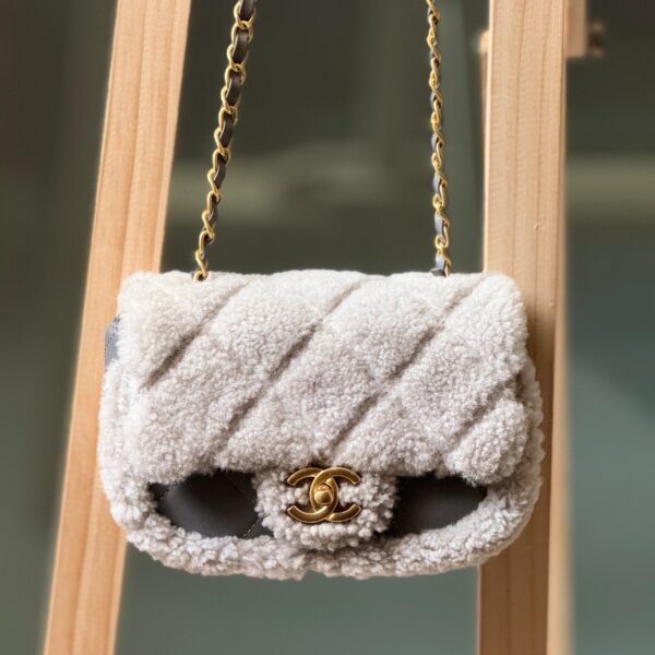 Chanel women’s bag
