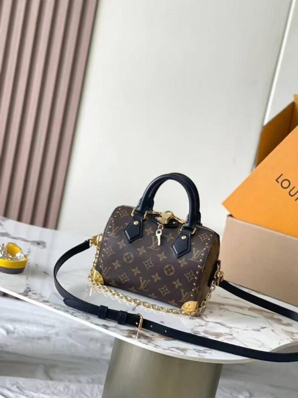 Louis Vuitton women’s bag