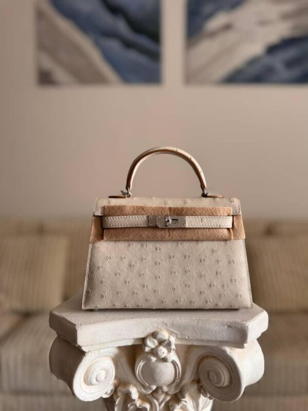 Louis Vuitton women’s bag