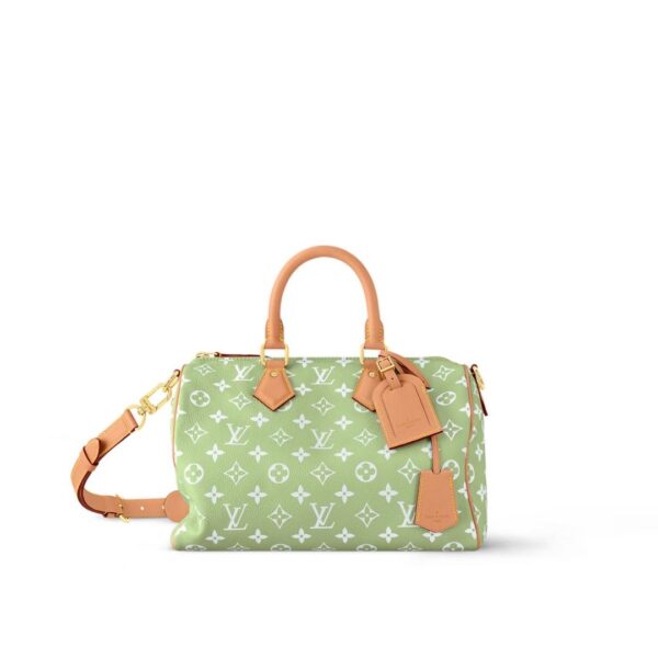 Louis Vuitton women’s bag