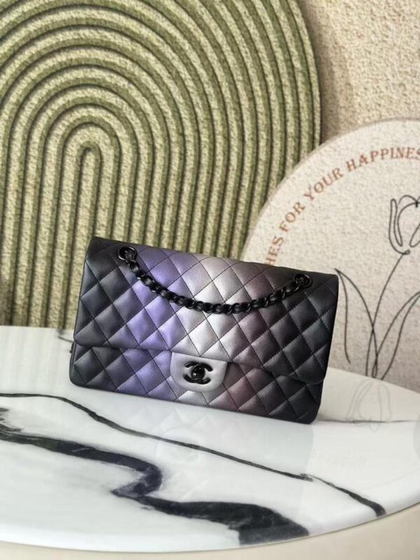 Chanel women’s bag